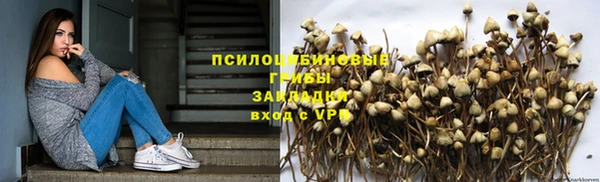 трава Абинск