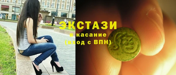 индика Дмитровск