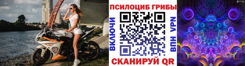 где найти   Нижнекамск  MEGA онион  Псилоцибиновые грибы мицелий 